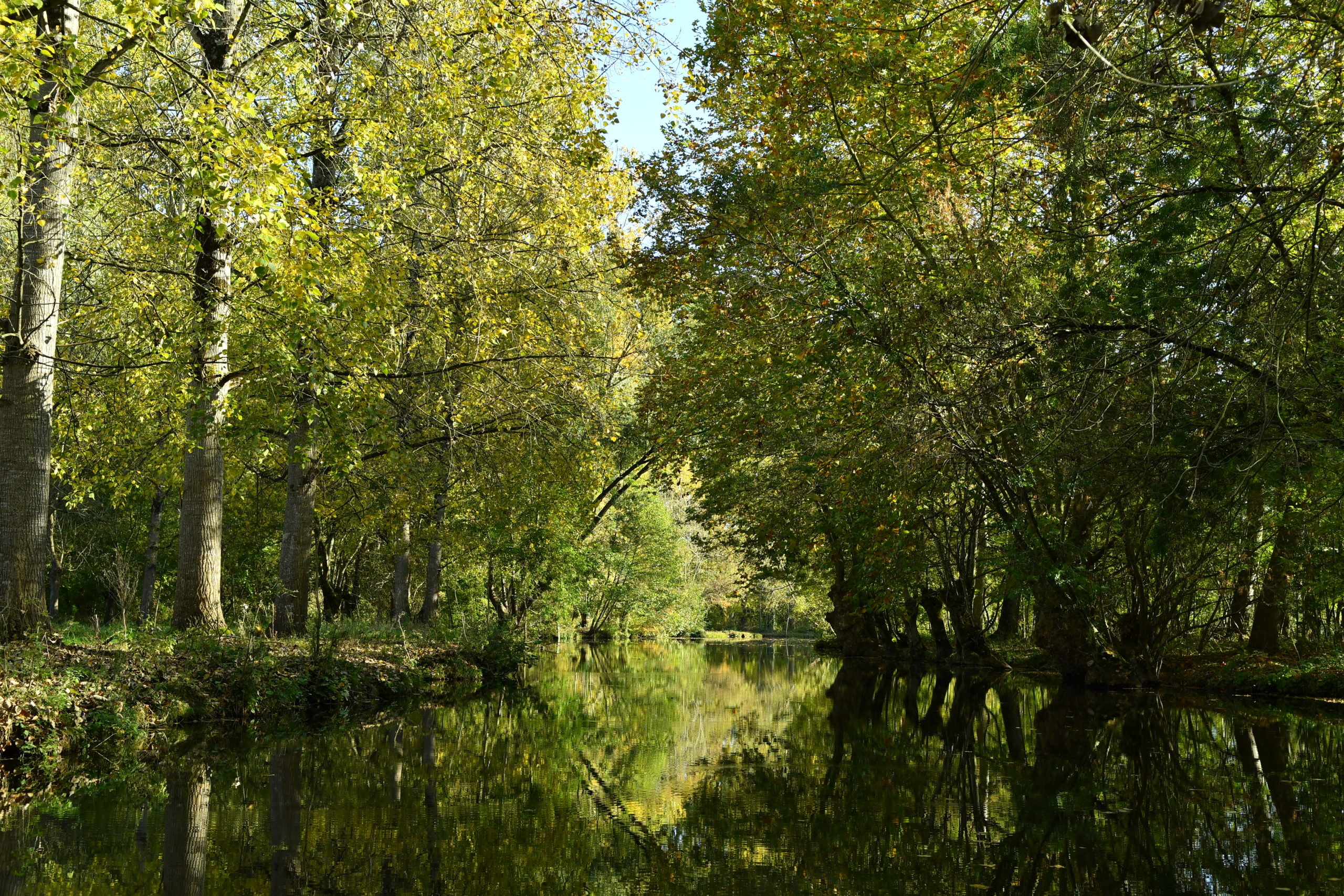 Sansais - la Garette dans le Marais Poitevin