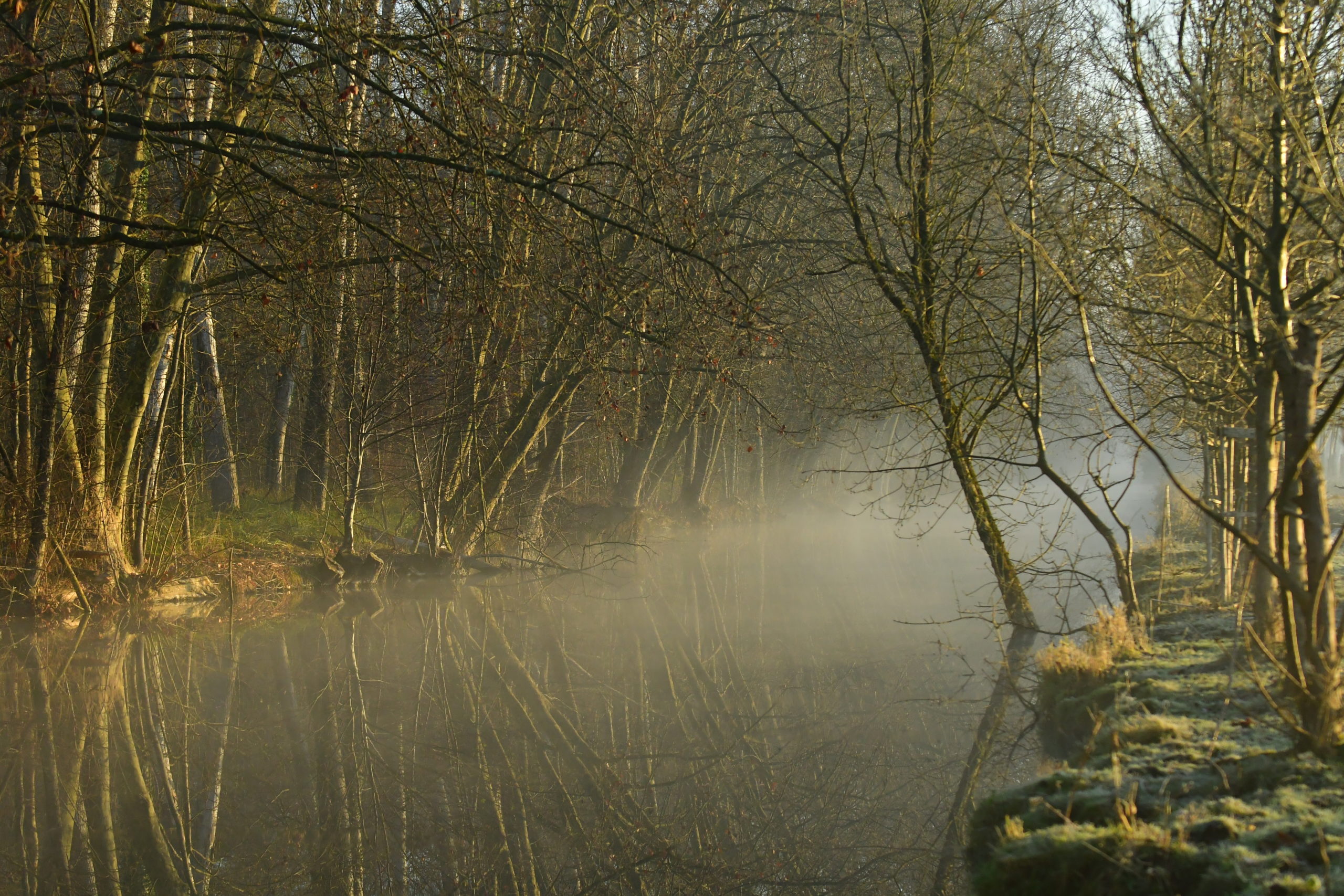 Sansais - la Garette dans le Marais Poitevin