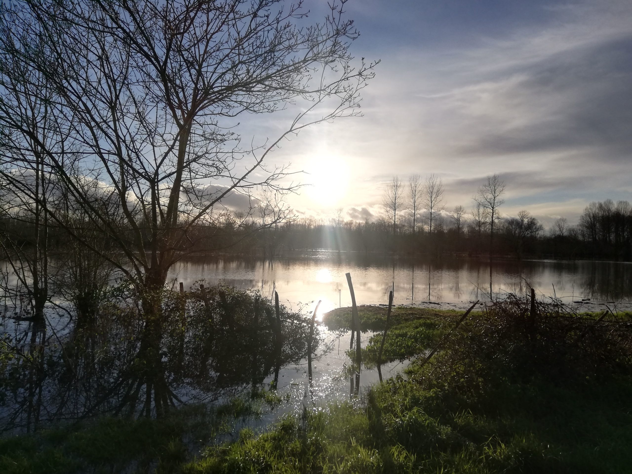 Marais poitevin - Sansais