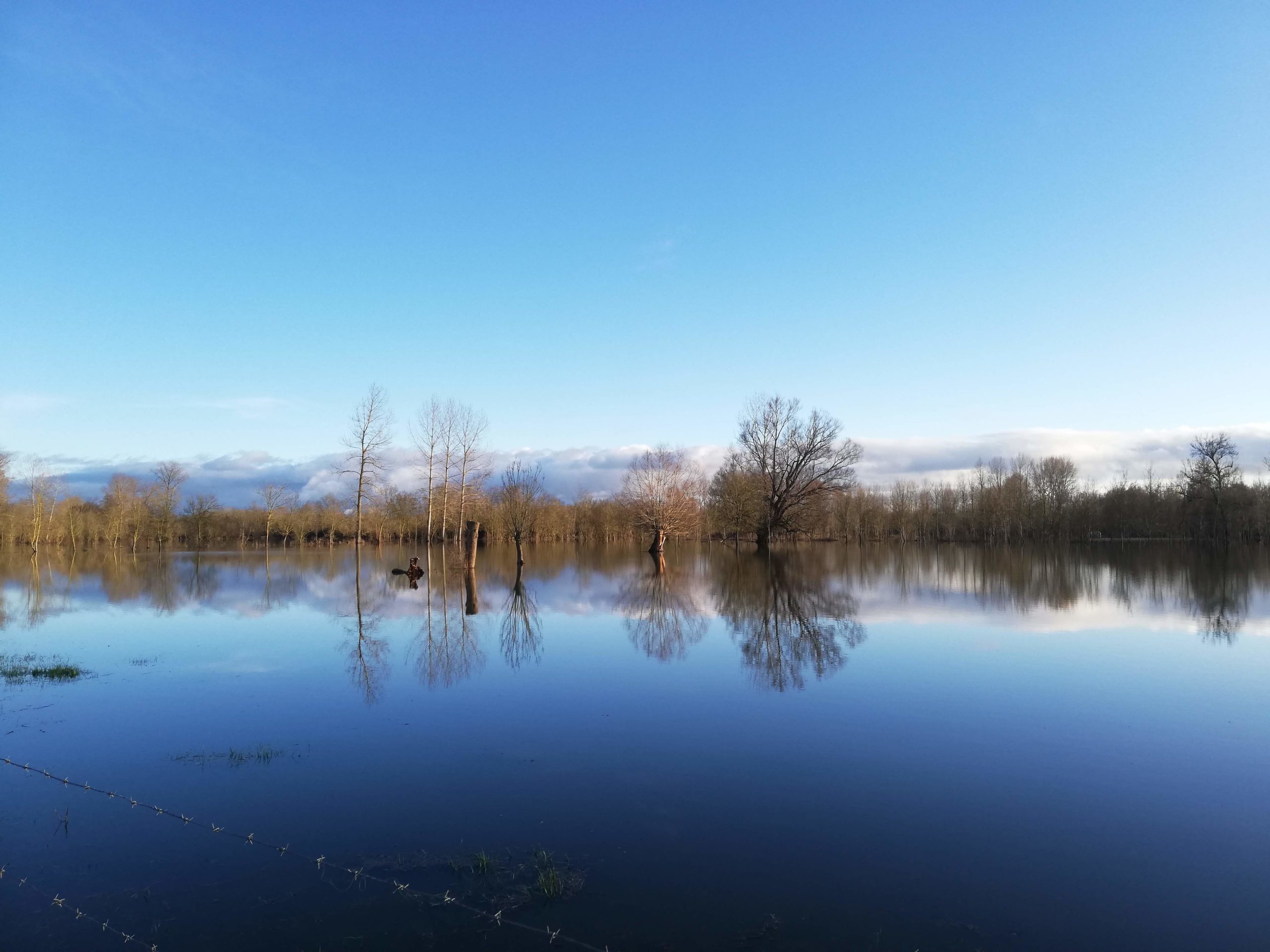 Marais poitevin - Sansais