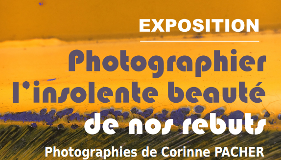 Exposition l’insolente beauté de nos rebus